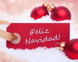 ¡ Feliz Navidad !